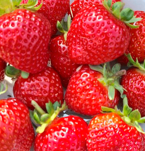 �������� �����